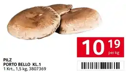 Transgourmet Pilz porto bello kl.1 Angebot