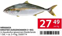 Transgourmet Hiramasa kingfish ausgenommen Angebot