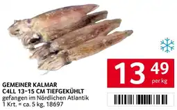 Transgourmet Gemeiner kalmar c4ll tiefgekühlt Angebot