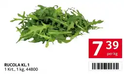 Transgourmet Rucola kl.1 Angebot