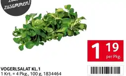 Transgourmet Vogerlsalat kl.1 Angebot