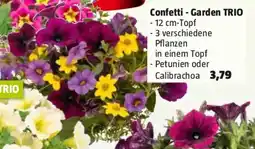 Bauhaus Confetti garden trio Angebot