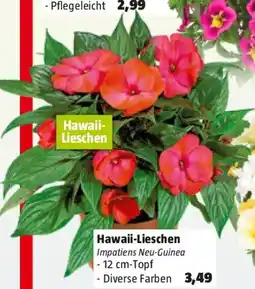 Bauhaus Hawaii Lieschen Angebot