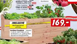 Bauhaus Hochbeet Douglasie Angebot