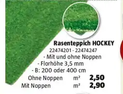 Bauhaus Rasenteppich hockey Angebot