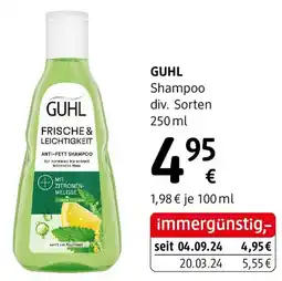 dm Shampoo Angebot