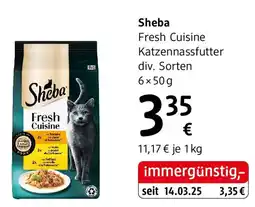 dm Fresh Cuisine Katzennassfutter Angebot