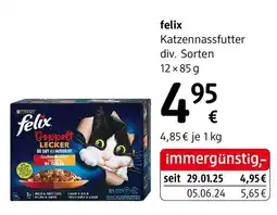 dm Felix Katzennassfutter Angebot