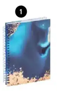 Pagro Diskont Notizbuch Angebot