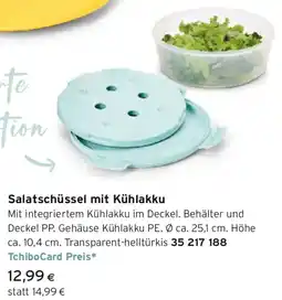 Tchibo Eduscho Salatschüssel mit Kühlakku Angebot