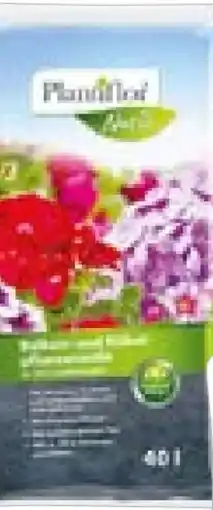Hellweg Plantiflor Balkon- Kübelpflanzenerde Angebot