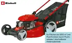 Hellweg Einhell Benzin-Rasenmäher GC-PM 51/3 S HW Angebot