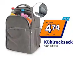 Action Kühlrucksack Angebot