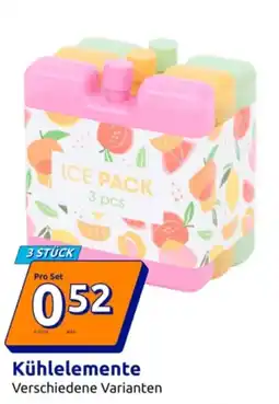 Action Kühlelemente Angebot
