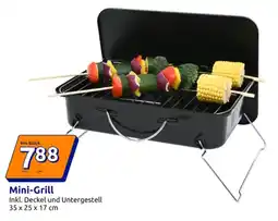 Action Mini Grill Angebot