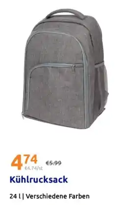 Action Kühlrucksack Angebot