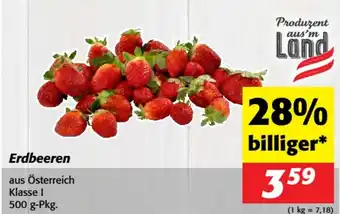 Erdbeeren