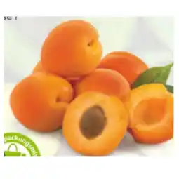 Hofer Marillen HOFER Angebot