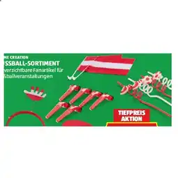Hofer Fussball-Sortiment HOFER Angebot