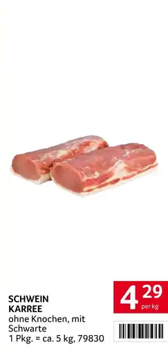 Transgourmet Schwein karree Angebot