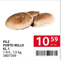 Transgourmet Pilz porto bello Angebot