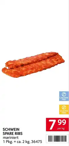 Transgourmet Schwein spare ribs Angebot