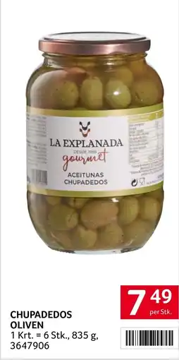 Transgourmet Chupadedos oliven Angebot