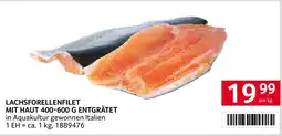 Transgourmet Lachsforellenfilet mit haut entgrätet Angebot