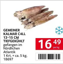 Transgourmet Gemeiner kalmar c4ll tiefgekühlt Angebot