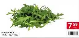 Transgourmet Rucola Angebot