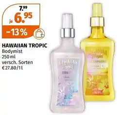 Müller Hawaiian tropic Angebot