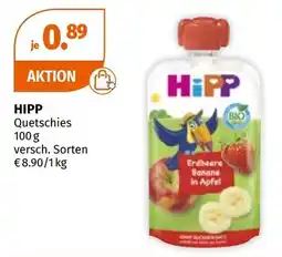 Müller Hipp Angebot