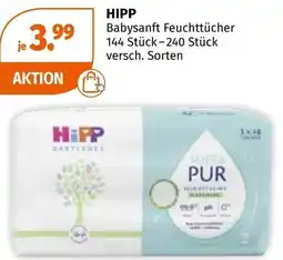 Müller Hipp Angebot