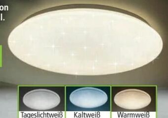 Norma LED-Deckenleuchte Angebot