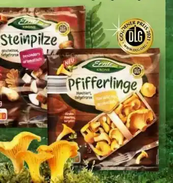 Norma XXL Pilze Angebot