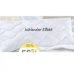 Reiter Polster „Fresh“ B2050601 Betten Reiter Angebot