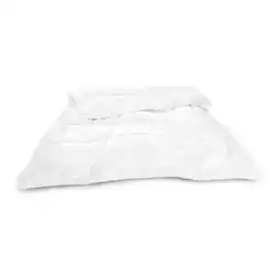 Reiter Tencel-Sommerdecke B2000701 Betten Reiter Angebot