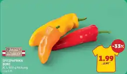 PENNY Spitzpaprika bunt Angebot