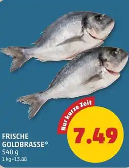 PENNY Frische goldbrasse Angebot