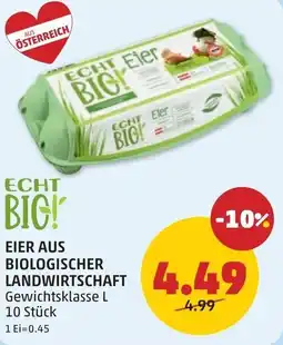 PENNY Eier aus biologischer landwirtschaft Angebot
