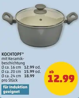 PENNY Kochtopf Angebot