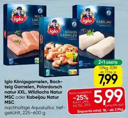 Spar Iglo königsgarnelen, back- teig garnelen, polardorsch natur xxl, wildlachs natur msc oder kabeljau natur msc Angebot