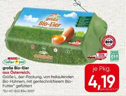 Spar Große bio-eier Angebot