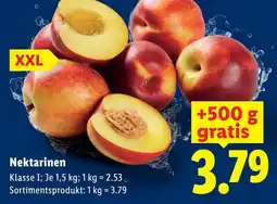 Lidl Nektarinen Angebot