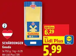 Lidl Schärdinger Gouda Angebot