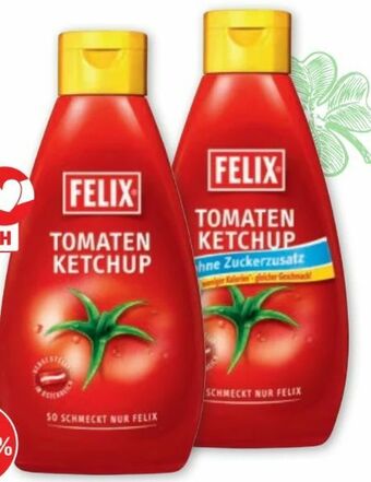 PENNY Ketchup Angebot