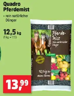 Thomas Philipps Quadro pferdemist Angebot