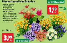 Thomas Philipps Bienenfreundliche stauden Angebot