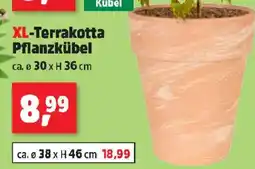 Thomas Philipps Xl-terrakotta pflanzkübel Angebot