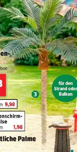 Thomas Philipps Künstliche Palme Angebot